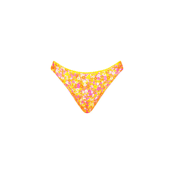 decorativefullmimosameadows_gr
